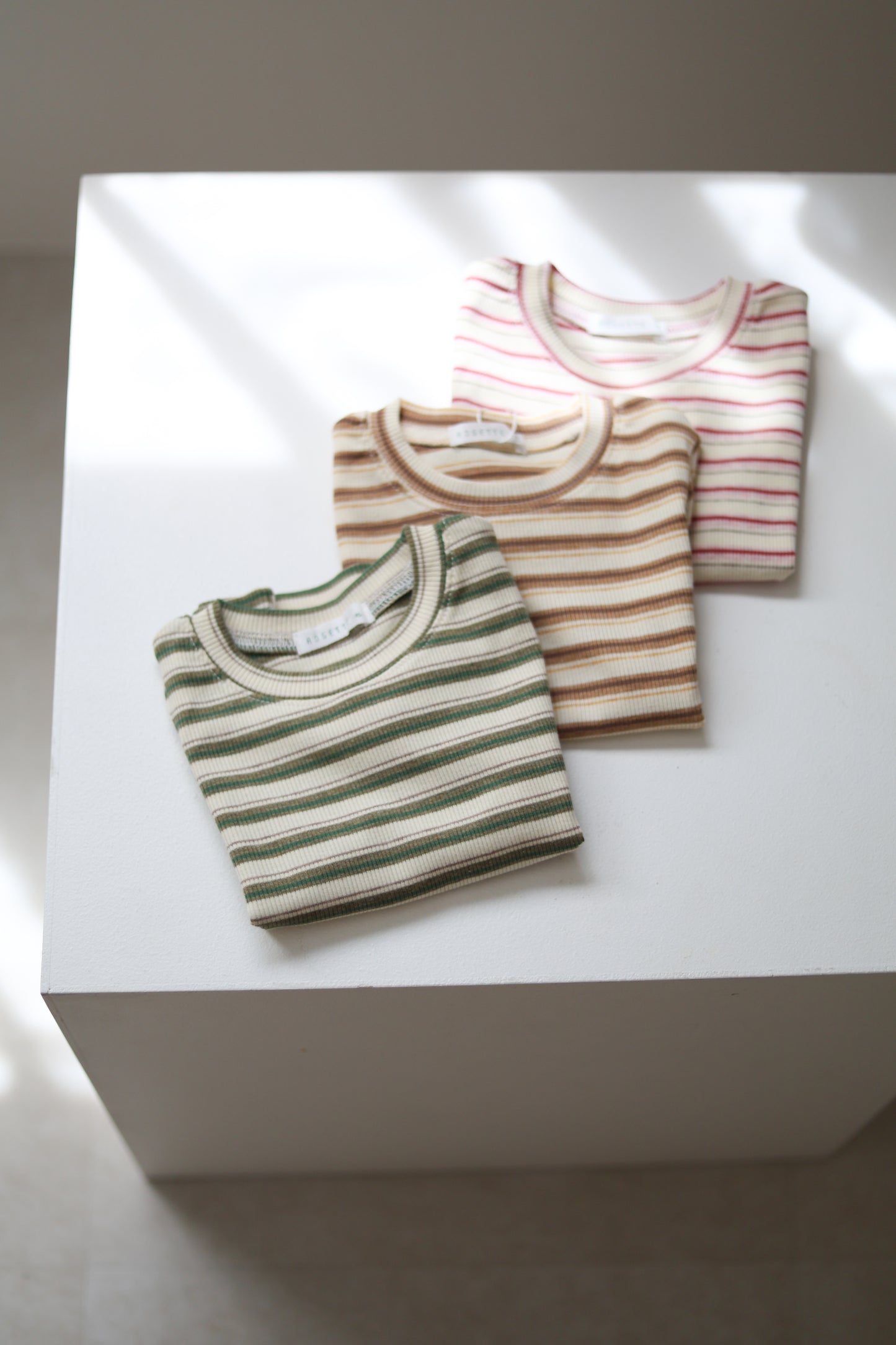 ROSETTE /  Line T