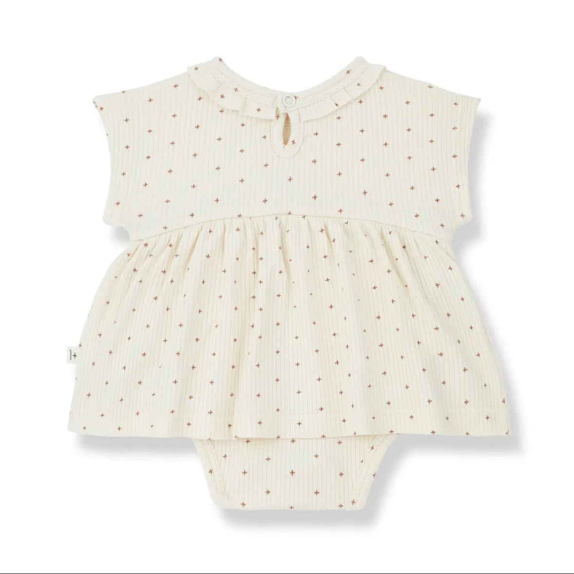 家中有 1 人以上 / GINA GINA IVORY