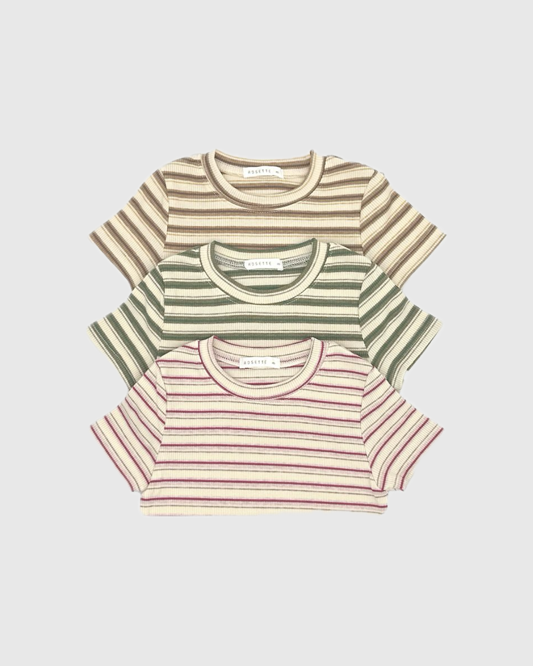 ROSETTE /  Line T