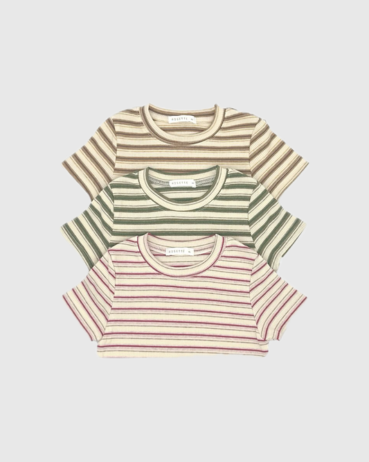 ROSETTE /  Line T