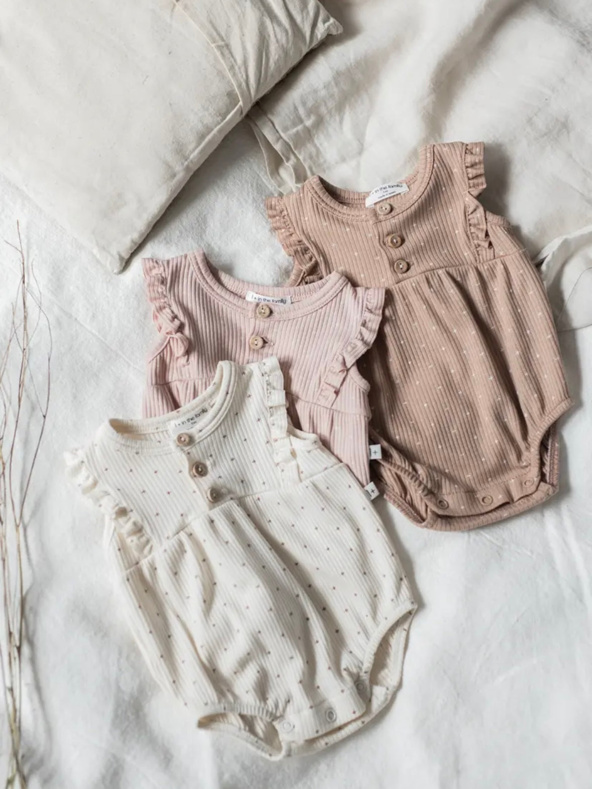 家庭中 1+ 人 / CINNIA NUDE