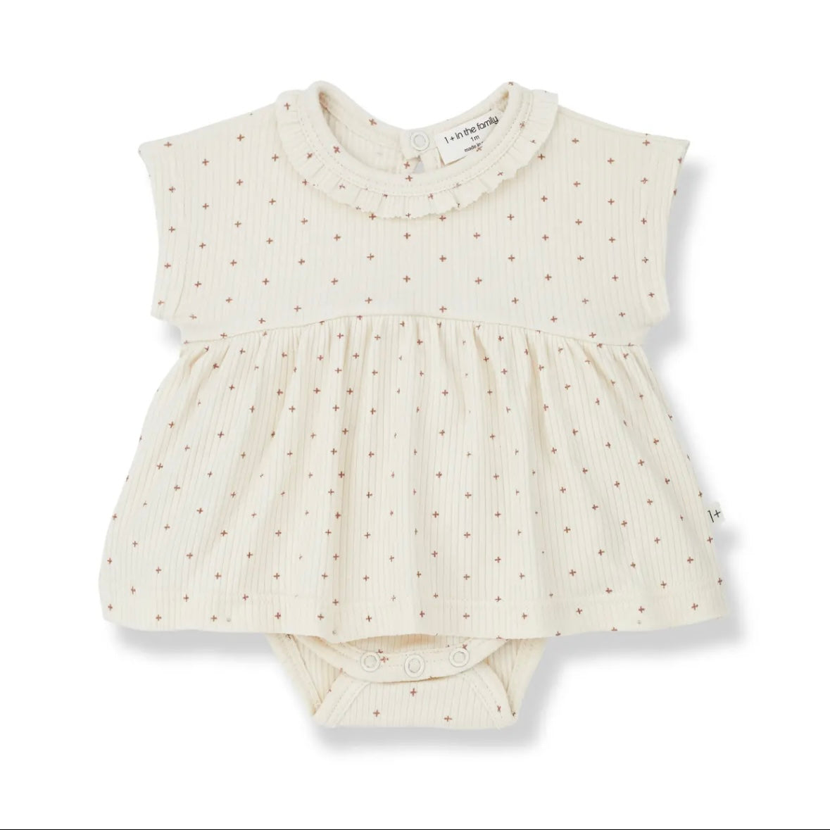 家中有 1 人以上 / GINA GINA IVORY