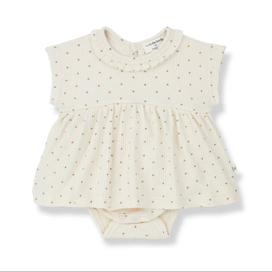 家中有 1 人以上 / GINA GINA IVORY