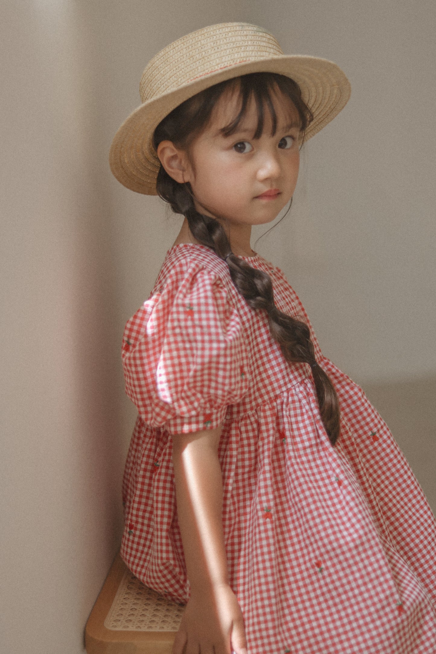 BY MIMI /  Check Embroidered Dress