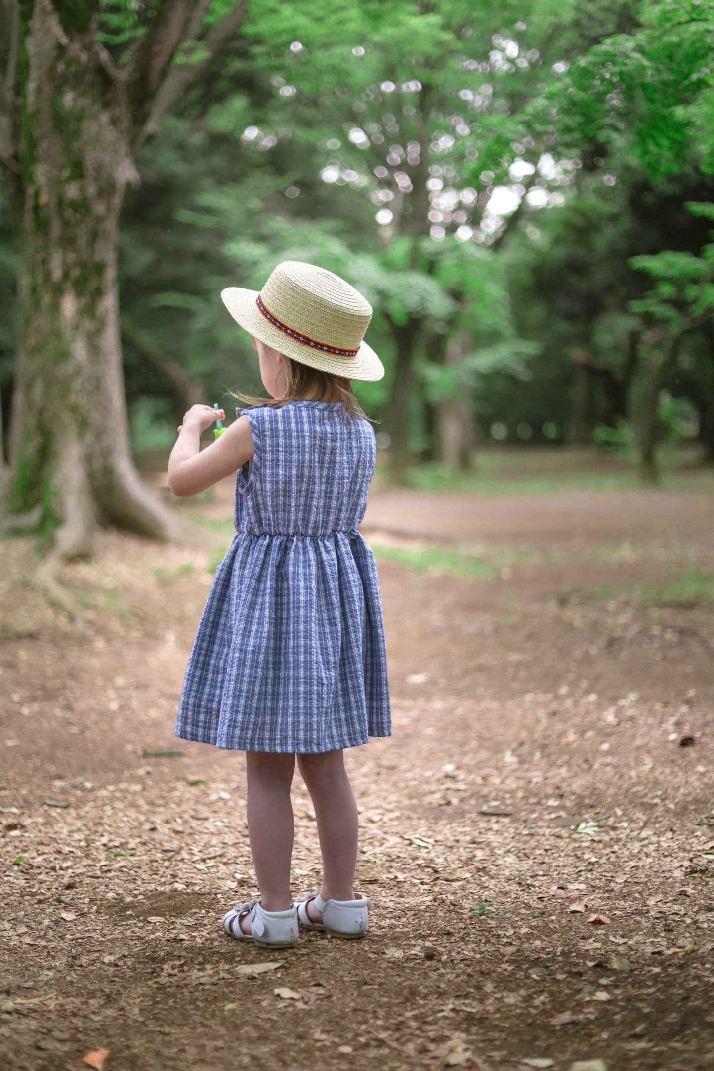 Original /  Dew Check Dress