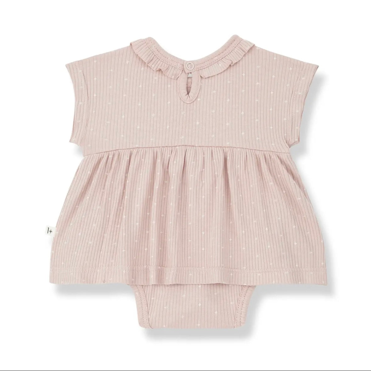 家庭中的 1+ / GINA NUDE