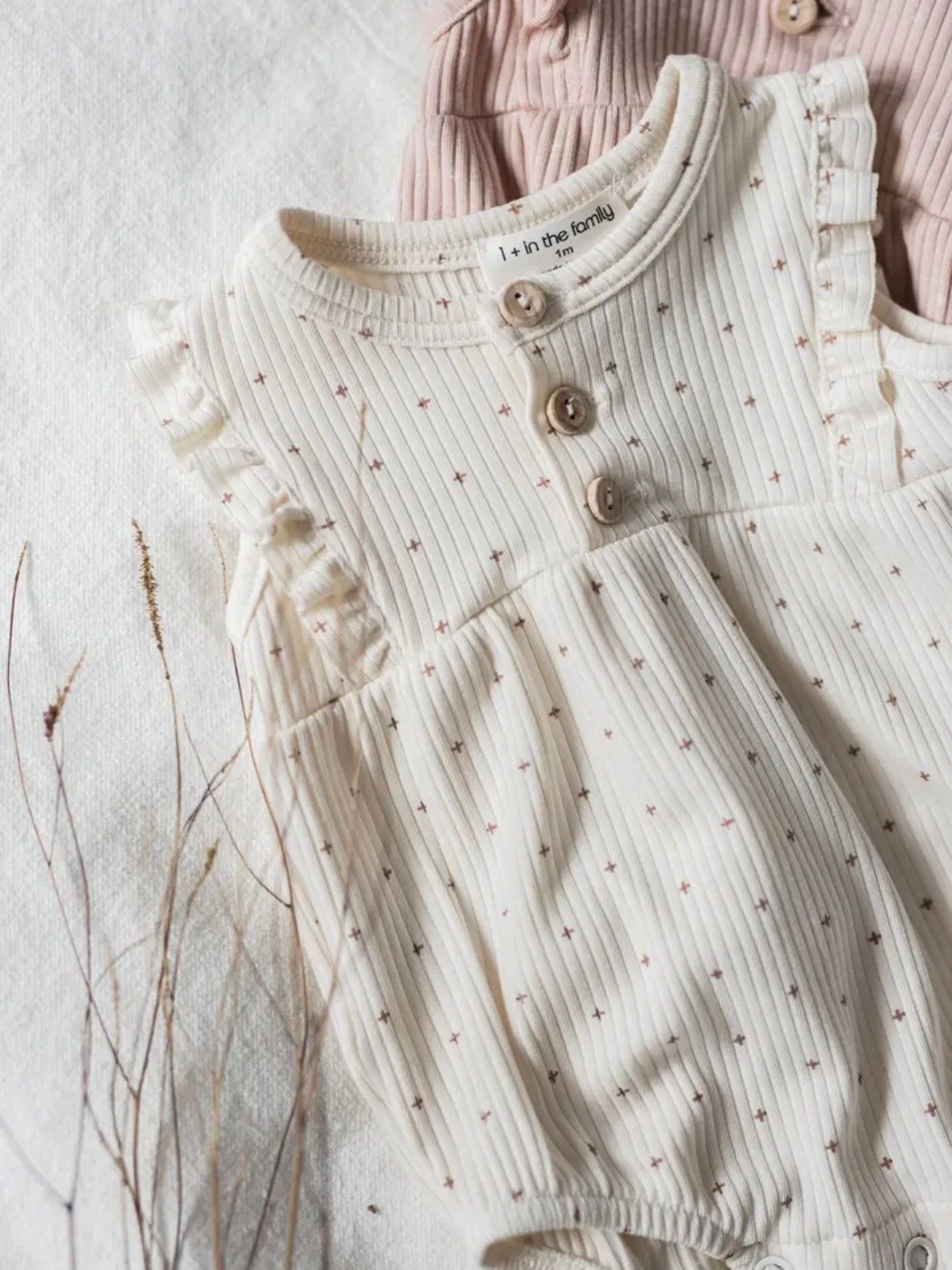 家中有 1 人以上 / CINNIA IVORY