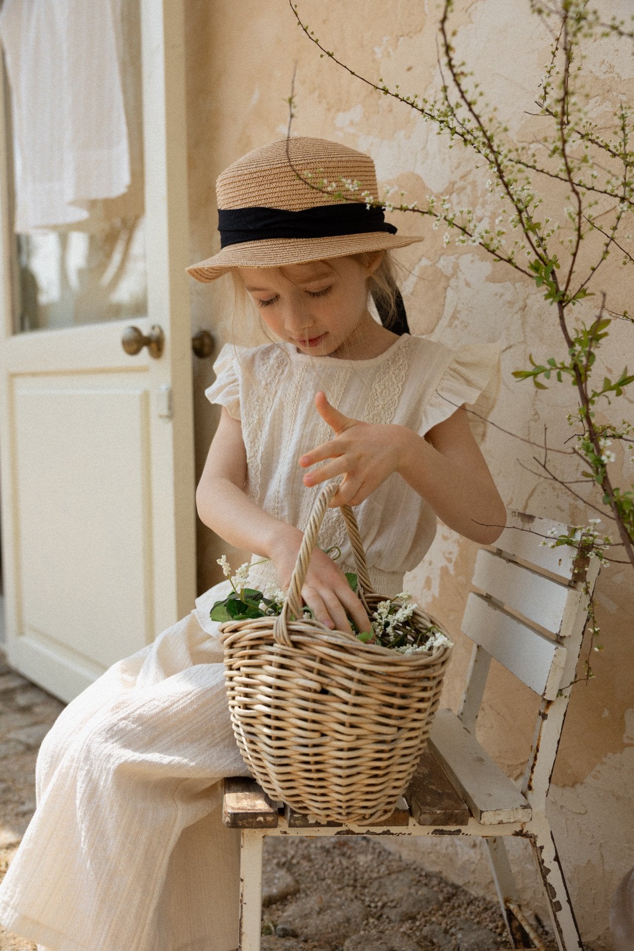 (予約) perrobebe  / Mila Setup